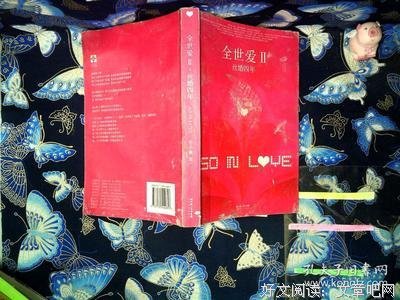 《全世爱Ⅱ·丝婚四年》读后感摘抄