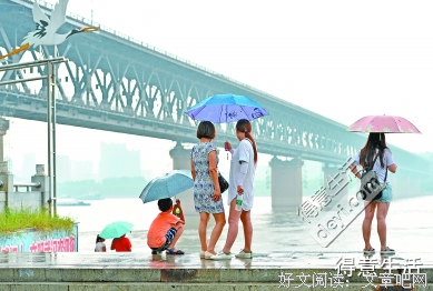 《夏日将止》影评100字