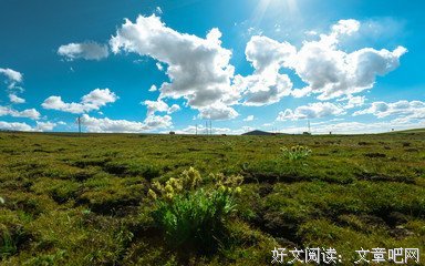 《去拉萨》影评精选