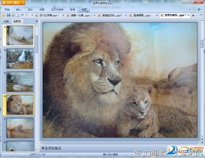 世界为谁存在？读后感1000字