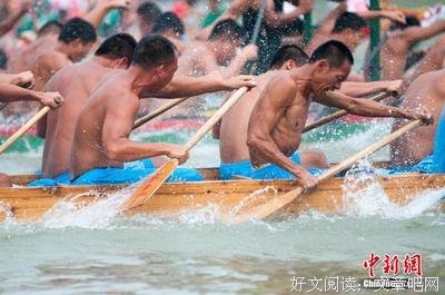 杀手，无与伦比的自由读后感1000字