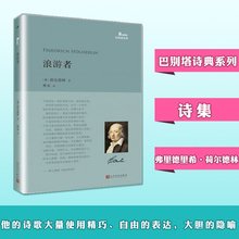 荷尔德林后期诗歌（上中下）读后感锦集