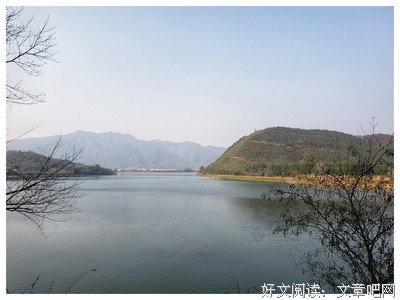 有关泰戈到大的句子