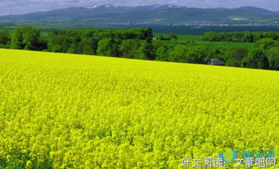花句子大全