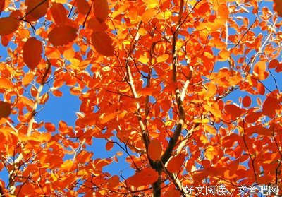 触动心灵的一瞬的句子