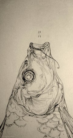有关心知肚明的美文美句摘抄