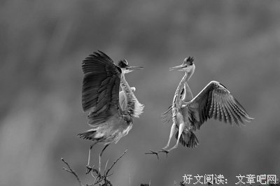 关于斗智斗勇的名句摘抄
