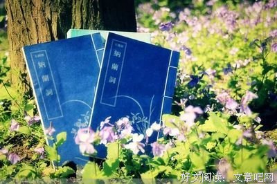 关于开到荼蘼的优美句子