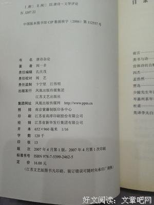 唐诗杂论经典读后感有感