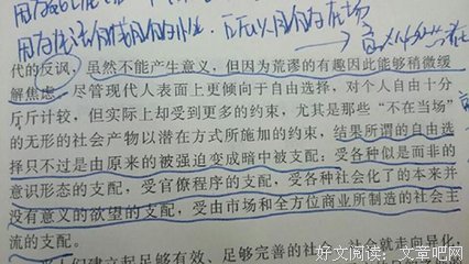 《黑猩猩的政治》读后感摘抄