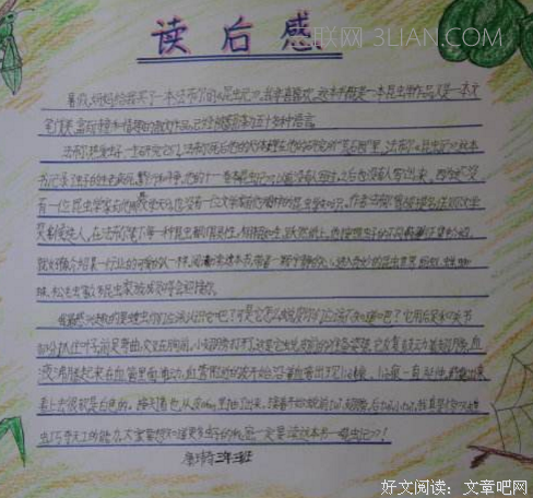 《康巴》的读后感大全