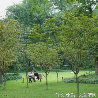 关于我喜欢你是寂静的的句子