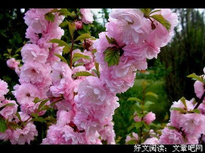 关于问心无愧的座右铭