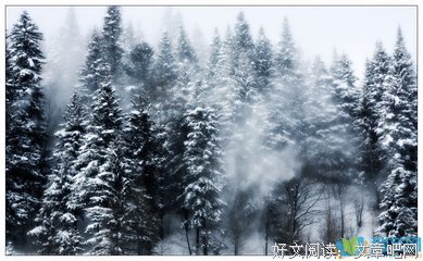 15条关于漠不关心的经典语句