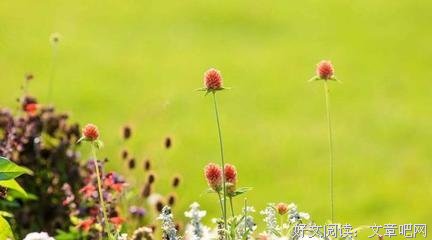 描写委曲求全的语句摘抄
