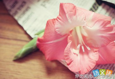 关于宠辱不惊名言名句
