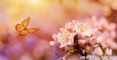 一去不复返的名人名言