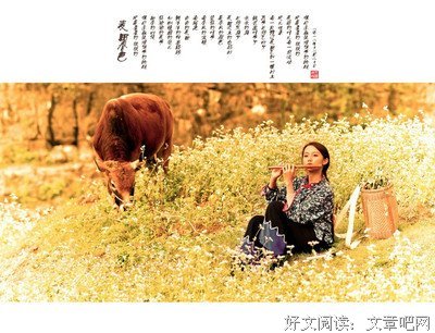 浅唱流年的离殇的句子