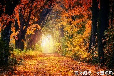 美图美句经典的句子