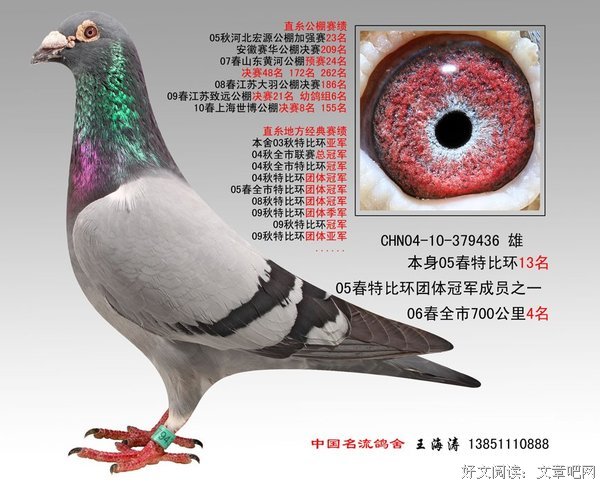 有关名人的句子