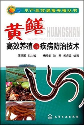 《我们怎么过冬》读后感锦集