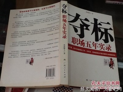 夺标：职场五年实录读后感锦集
