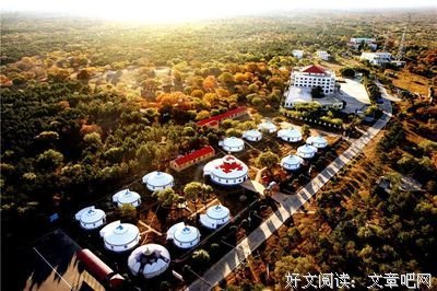 灵魂只能独行读后感1000字