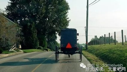 环游世界做苹果派读后感100字
