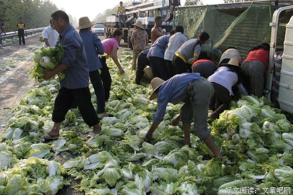 哄抢被砸去世、拒养被父母告...还有什么新闻，是你们写不出来的？
