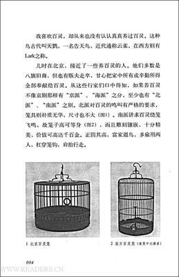 《忆往说趣》的读后感大全