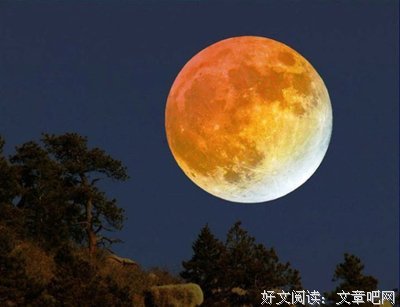 流年易碎我亦醉。经典名句