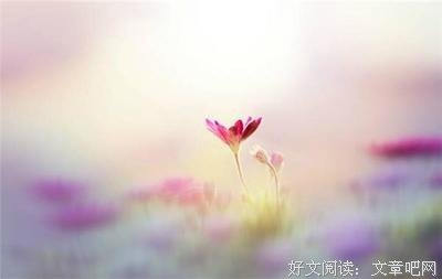 《随》的句子
