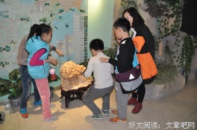 《成长的秘密之小学时代》好看吗？经典观后感锦集