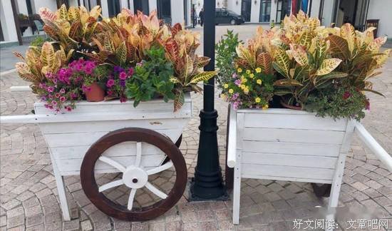 错失的机会 