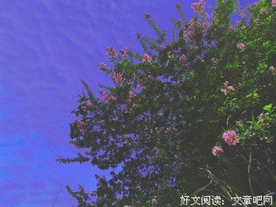 矫揉造作的句子