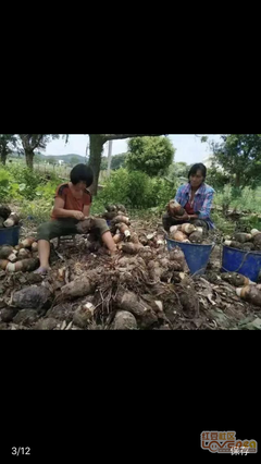 种族歧视的名言_关于种族歧视的名言
