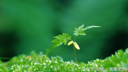 描写形而上的语句摘抄
