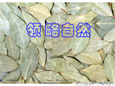 深邃的句子