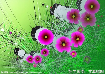 随想序经典的句子