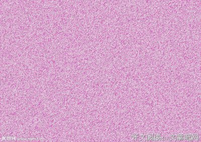 碎到这为垠，是一并第 ……的句子