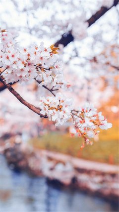 万古江河，给你信心