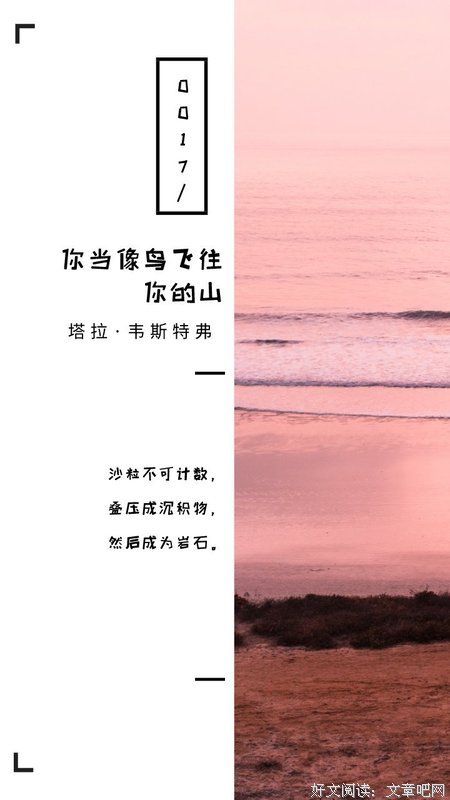 《胜算》读后感锦集