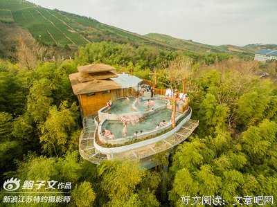 《舍间声响》的影评大全