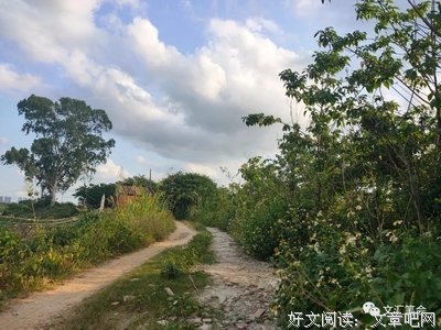 《午夜寻访录》经典观后感有感