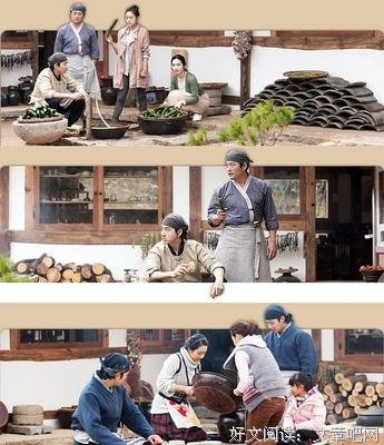 《发酵家族》观后感精选
