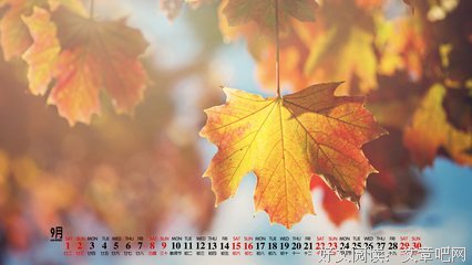 9月18日，突然宣布重大消息！都沸腾了！