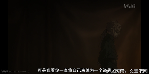 《刺客》的读后感大全