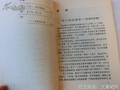 《送你一匹马》读后感1000字