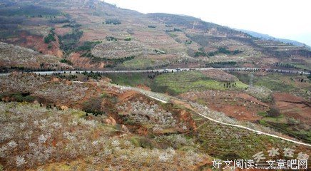 花田半亩经典读后感有感