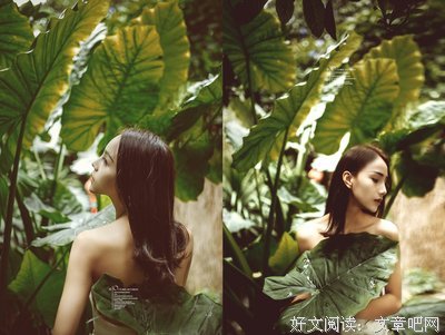 关于冗长夏山水的句子